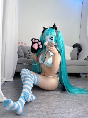 Seele麦麦 - 初音未来_25