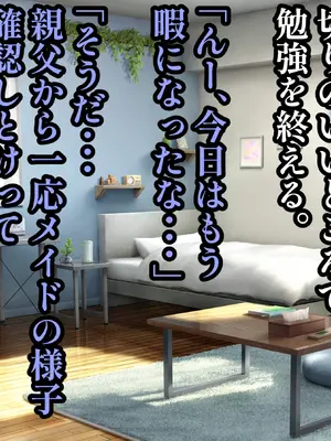[ハグレモグリ] ぽんこつメイドさんとの性活～父の会社に手違いで入ったお姉さんは僕だけの肉オナホ～_037