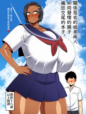 [夏中症 (雨存)] 仲の悪い姉と弟が発情したサルみたいに交尾しまくる本。 [DL版]