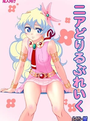 [ギャラクシー物置 (華塚良治)] ニアどりるぶれいく (天元突破グレンラガン) [DL版]