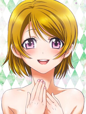 [スタジオFOX、STUDIO PAL (南野琴、犬崎みくり)] ラブライブ!総集編 PRETTY POWER!! (ラブライブ!) [DL版]_28