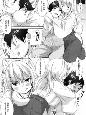 [いぬぶろ] いぬみみずかん_240