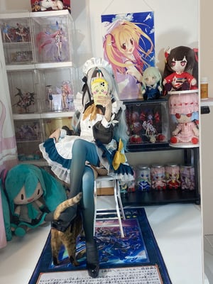 白栎Shirly - 崩坏：星穹铁道 流萤 女仆_06