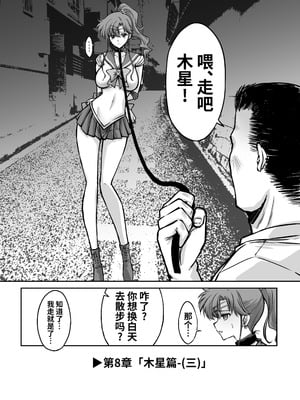 [ブルーガーネット (芹沢克己)] その星は汚されて 7 (美少女戦士セーラームーン)｜被玷污的那颗星 7 [光阴个人汉化] [DL版]_27