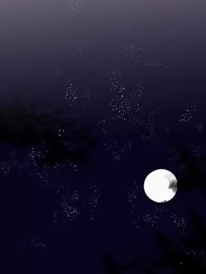 喜歡哥哥,怎麼辦 01-35話[完結]_003021