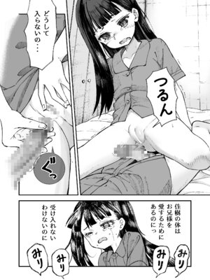[ZART (不確定)] お兄様の初めてを佳樹がこっそりいただきます。ゴンちゃんと。(負けヒロインが多すぎる!) [DL版]_27