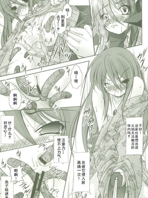 (コスカ16号店) [たかねの花園 (たかねのはな)] 触願のシャナII (灼眼のシャナ) [中国翻訳]_14