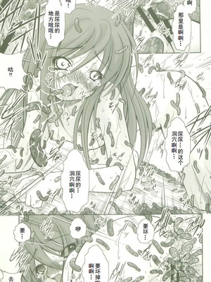 (コスカ16号店) [たかねの花園 (たかねのはな)] 触願のシャナII (灼眼のシャナ) [中国翻訳]_16