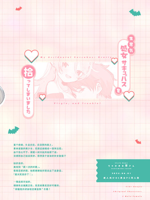 [ちゃかまる屋さん (ちゃかまる)] 生意気処女サキュバスを拾ってしまいました｜不小心捡到了嚣张的处女魅魔 [莉赛特汉化组]_31_mjlo