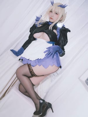 阿半今天很开心 - FGO 黑枪呆女仆_25