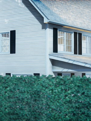 【闲的无聊的东坡居士】苋爱1-9+番外_EP05-046