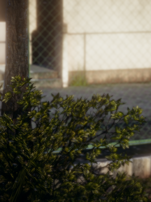 【闲的无聊的东坡居士】苋爱1-9+番外_EP08-024