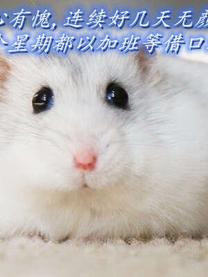 陈乔安传01-04+番外_0886