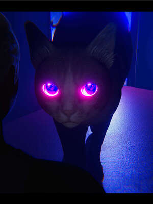 【ses21】新聊斋志异00-05_00877