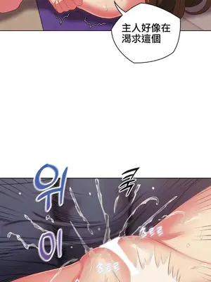 主人，要不要勃起一下呢／主人，來勃起吧？ 1-50話[完結]_010068