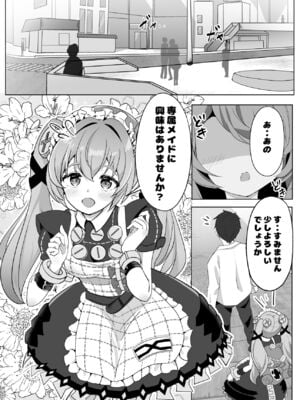 [紺ビードロ] 専属♥メイド体験 (ゼンレスゾーンゼロ)_03