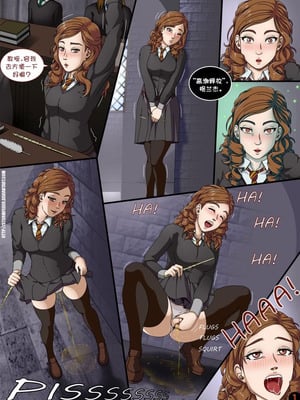 [StormFedeR] The Charm (Harry Potter) [心海汉化组]_02