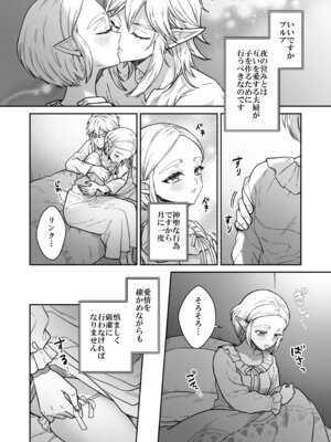 [どろりんちょ] 妻は100年前の姫巫女様 (ゼルダの伝説)_03