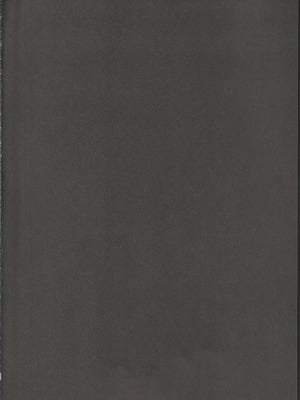 (科学世紀のカフェテラス13) [わんこ院 (中島楓)] 扉の向こうで (東方Project) [中国翻訳]_25