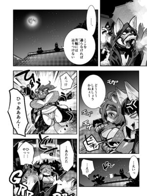 [いんちき堂 (けものの★)] 瀬賀忍軍忍法帖ぽんこ★ちゃんす！[DL版]_11