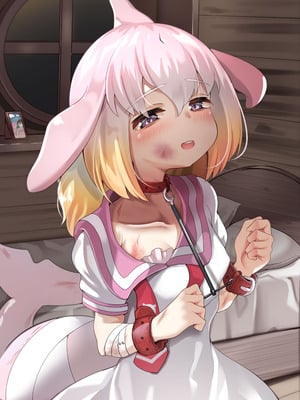 [ダル・ゾデサデハーイ (ダル)] シナウスイロイルカとあそぼ Maniac (けものフレンズ) [中国翻訳] [DL版]_02