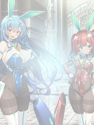 [とりのおいしいところ (鳥三、波多)] 聖霊騎装バニキューレ・フレイア [村长个人汉化]_0074