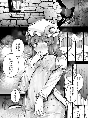 [自家発電処 (flanvia)] 穴とむっつりどすけべだいとしょかん総集編 (東方Project) [DL版]_061