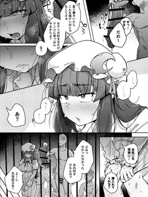[自家発電処 (flanvia)] 穴とむっつりどすけべだいとしょかん総集編 (東方Project) [DL版]_145