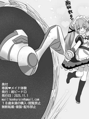 [紺ビードロ] 専属♥メイド体験 (ゼンレスゾーンゼロ)｜专属女仆体验!？ [白杨汉化组]_29