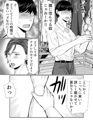 [ぽぽっと電機1号店] 下着ドロボウとムッチリおばさん_04