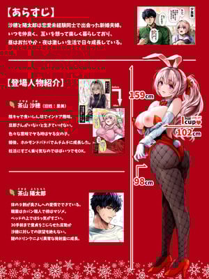 [ぎばちゃん] 夫婦ノ夜 メリクリ編〜お茶目な奥さんと過ごす聖シコノ夜〜_03