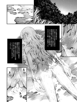 (C89) [Yokohama Junky (魔狩十織)] ペアハンターの生態vol.2-1 (モンスターハンター) [DL版]_28