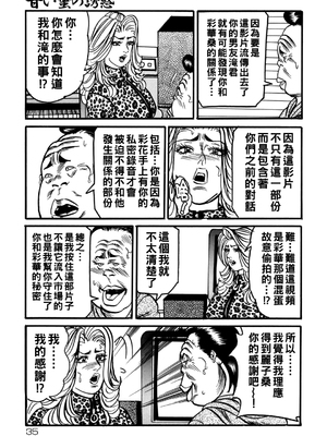 [エンジ] 熟女麗子 甘い蜜の誘惑 [战栗的大白菜汉化]_034