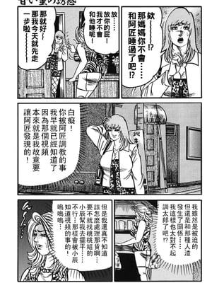 [エンジ] 熟女麗子 甘い蜜の誘惑 [战栗的大白菜汉化]_052