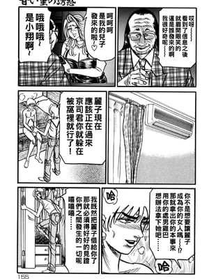 [エンジ] 熟女麗子 甘い蜜の誘惑 [战栗的大白菜汉化]_154