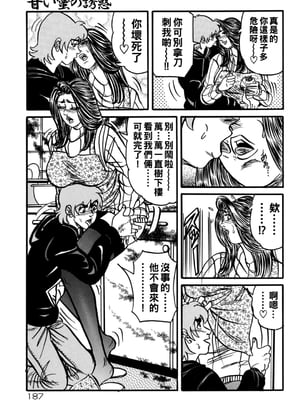 [エンジ] 熟女麗子 甘い蜜の誘惑 [战栗的大白菜汉化]_186