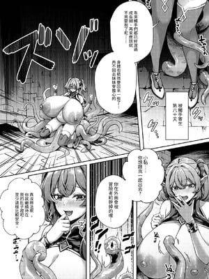 [缶子牧場 (缶子)] 堕ちた天才魔法使い、苗床化エルフの60日間 [中国語] [DL版]_30