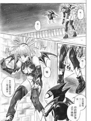 [サイクロン (和泉、冷泉)] ローグスピア5・ダウンロード特別版 (シャドウレディ) [DL版] [中国翻訳]_002