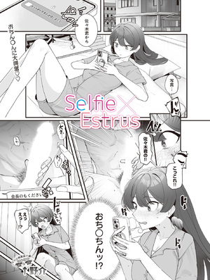 [↑野介] Selfie x Estrus