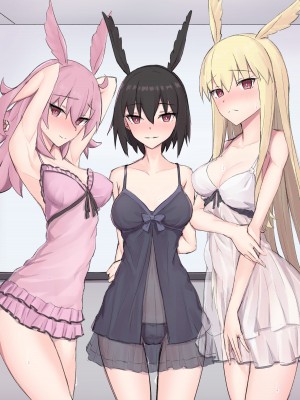 pixiv elfen [黎欧x苍蓝星汉化组]_044