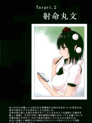 (C99) [てこめんち (てち)] 幻撮 幻想少女自慰盗撮録 (東方Project)_04