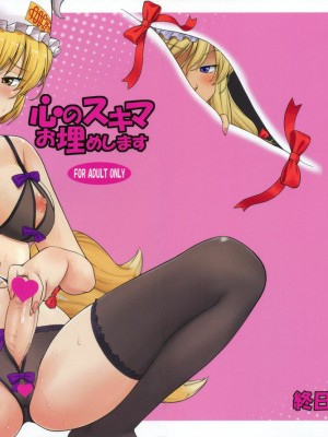 [wwy个人汉化] (C81) [終日庵 (ひねもすのたり)] 心のスキマお埋めします (東方Project)_01_0
