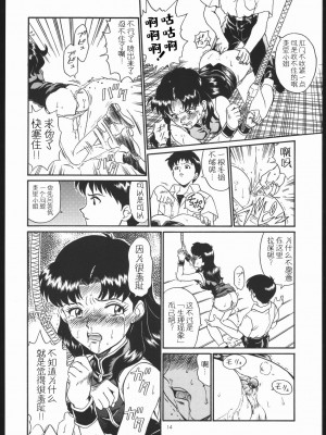 (C54) [RAT TAIL (IRIE YAMAZAKI)] IRIE FILE GREEN (新世紀エヴァンゲリオン, 赤ずきんチャチャ) [牛肝菌汉化]_12