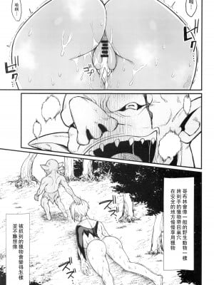 (C99) [キレイナブタ (ぶたちゃんぐ)] 異世界の女たち 2.0 [中国翻訳]_07