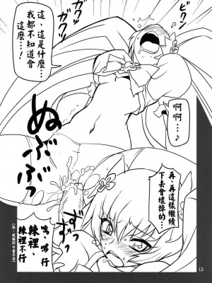 (C78) [BlueMage (あおいまなぶ)] Cure Sunshine Creation (ハートキャッチプリキュア!) [中国翻訳]_13