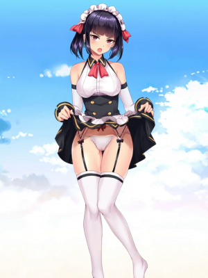 Project QT_048