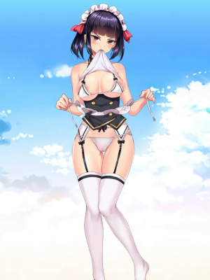Project QT_049