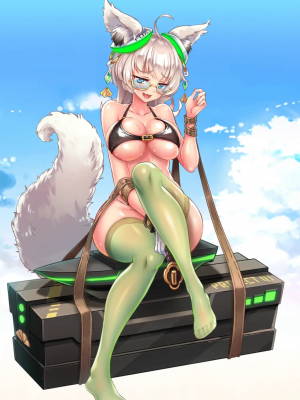 Project QT_313