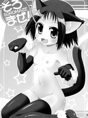 [绅士仓库汉化] (アグリゲート3) [最果て空間 (緋乃ひの)] そろまぜ! (咲-Saki-)_02