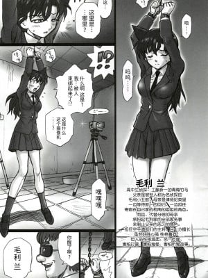 (C81) [Rat Tail (Irie Yamazaki)] TAIL-MAN RAN MOURI BOOK (名探偵コナン) [牛肝菌汉化]_04